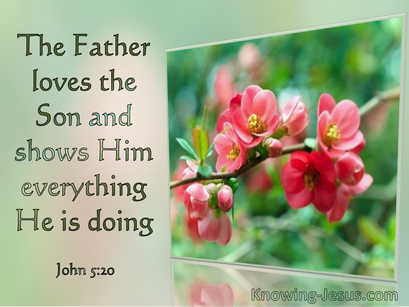 John 5:20 The Father Loves The Son And Shows Him Everything (windows)01:14
